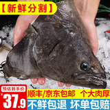 海皇湾格陵兰进口深海冰鲜冷冻鲽鱼身鸦片鱼头超大比目鱼鱼类生鲜批发 鲽鱼头300g- 350g /只