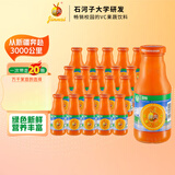 神内（GINNAI）新疆胡萝卜汁238ml*20瓶 轻断食纯果蔬汁混合蔬菜汁饮料整箱装