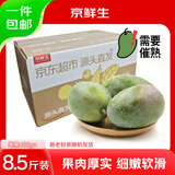 京鲜生 攀枝花凯特芒果 净重8.5斤 带箱9斤 单果400g+ 生鲜水果源头直发