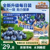 三只松鼠每日蓝莓干256g/16包 无添加水果干果脯小包装儿童老人办公室零食