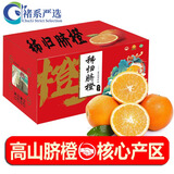诸氏橙品【褚系严选】官方橙子水果 秭归伦晚脐橙 高山冰糖甜橙生鲜礼盒 褚系严选10斤特级XL果-净重9斤