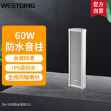 威斯汀家庭影院户外防水音柱音箱音响挂墙壁挂式功放喇叭音箱商场店铺会议公共广播3030/60W