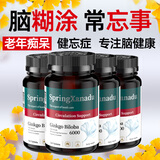 善仙度（SpringXanadu）银杏叶片提取物脑活素老年痴呆脑萎缩记忆力提高脑供血 4瓶装【老年痴呆周期装】
