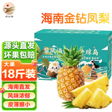 益生恩海南金钻凤梨带叶菠萝精选品质皮薄眼小当季新果香味浓郁脆甜多汁 大果18斤装（净重17-18斤）