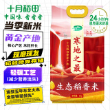 十月稻田 当季新米 寒地之最 生态稻香米 10斤（东北大米 香米 十斤）