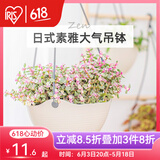 爱丽思（IRIS）吊钵环保树脂绿萝常春藤垂吊挂盆花盆吊兰盆悬挂壁式吊篮挂钩花盆 6号理石色