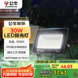 公牛（BULL）LED户外庭院工厂园林灯露营灯 IP65防水等级30W-6500K白光