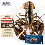 渔游记 波士顿龙虾净重共1.8-2.2斤/2只装 冷冻波龙年货节海鲜波龙海鲜