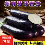 山东新鲜绿把紫皮长茄现摘现发新鲜嫩茄新鲜时令蔬菜生鲜 新鲜绿把紫茄 2斤 带箱