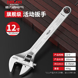 德力西电气（DELIXI ELECTRIC）活动扳手多功能大开口扳子家用工具活口活扳手 12寸
