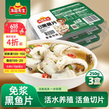 冻品先生 安井 免浆黑鱼片 250g*3盒  水煮鱼生鲜食材 冷冻鱼类方便菜