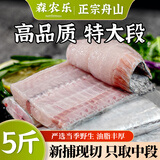 森农乐舟山带鱼段大号纯中段特大生鲜冷冻野生新鲜海鲜水产刀鱼去头去尾 净重5斤家庭装【油脂丰厚中段】