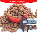 木乃壳食品榛子炒货原味山平臻东北特产坚果零食新货 1斤【笨炒】小榛子（不开口）