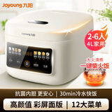 九阳（Joyoung）4L多功能电饭煲家用铜匠厚釜内胆可保温预约煮饭锅聚能导热热饭锅F-40FY515