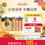 伯特小蜜蜂无色润唇膏礼盒养护滋润夏季保湿清爽女友男友 四只装礼盒