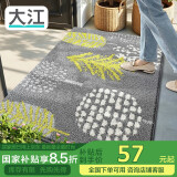 大江 入户门地垫 脚垫进户门进门防滑地垫60x90cm 落叶