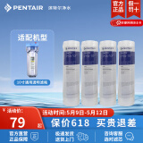滨特尔（pentair） 净水器家用 前置10寸PP棉滤芯 简易更换 PP棉滤芯 10寸5μm通用 4只装