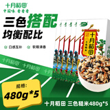 十月稻田 三色糙米480g*5盒装（红米 黑米糙米）五谷杂粮 粗粮