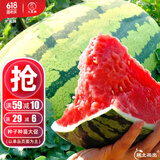 大禹懒汉西瓜种子苗特大适合南方早熟懒人8424麒麟瓜美都无籽水果蔬菜 懒汉王西瓜种子50粒