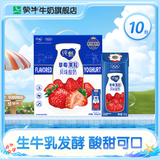 蒙牛  纯甄风味酸牛奶营养早餐风味酸奶礼盒装 【草莓果粒】风味酸奶 200g×10