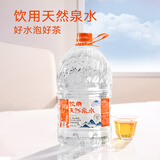 巴马百年（LONGLIFE）泡茶水巴馬天然山泉水企业公司用巴马饮用水大桶水桶装水整箱批发 5L2桶整箱
