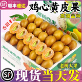 粤迎广东鸡心黄皮果【JD顺丰冷链】黄皮新鲜水果现摘现发黄弹子酸甜 鸡心黄皮果净1.8-2斤【单果5g+】