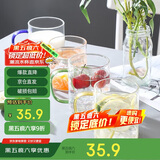 唯铭诺四色高硼硅耐热玻璃杯套装家用带把水杯子玻璃茶杯  四支装400ML