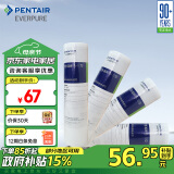 爱惠浦（Everpure）家用厨下 10吋/5微米 前置过滤各品牌通用净水器 PP棉滤芯4支装