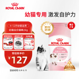 皇家幼猫猫粮 幼猫奶糕 K36 通用粮 4-12月 2KG