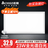 志高厨房灯集成吊顶厨卫灯具300x300x600x600扣板灯卫生间吸顶平板灯 23W 【热卖】/300*600mm白色/白光