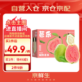京鲜生 红心珍珠芭乐 番石榴 净重3斤 单果150g+ 生鲜水果水果礼盒
