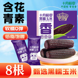 十月稻田 黑糯玉米 8根 3.2斤 代餐早餐 真空包装 花青素 杂粮礼盒