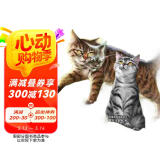 猫武士·新版七部曲·4·暗由心生 ?