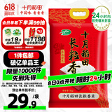 十月稻田 当季新米 长粒香大米 10斤（东北大米 香米 5公斤/十斤）
