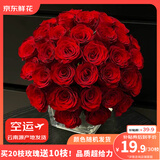 京东鲜花双11玫瑰20枝送10枝共30枝随机色鲜花花束鲜切花节日礼物源头直发