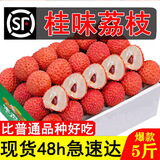 小农兔  京东快递 广东桂味新鲜荔枝5斤精选高州水果茂名白罂糖妃笑子 5斤装【精选果】单个15-17g