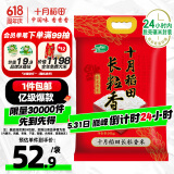 十月稻田 当季新米 长粒香大米 20斤（东北大米 香米 10公斤）