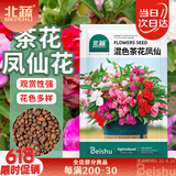 北蔬 凤仙花种子混色大花指甲花春季花籽 重瓣混色茶花凤仙种子1000粒