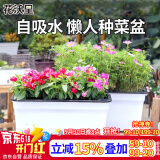 花沃里花盆自吸水长方形种菜盆 塑料双层加厚种植箱种菜箱多肉塑料花盆
