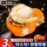 尚致扇贝肉特大号新鲜冷冻扇贝带黄带膏可做蒜蓉粉丝扇贝生鲜红贝 【3斤】扇贝肉500g*3袋