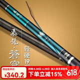 北溟鱼鱼竿飞龙苍穹19调钓鱼竿手竿黑坑鲤鱼竿轻硬碳素台钓竿 4.5m 苍穹
