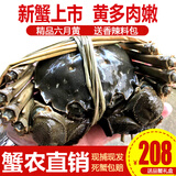 【活蟹】阳澄小斌大闸蟹 鲜活精挑特大螃蟹公蟹母蟹生鲜水产礼盒 新蟹六月黄2.5-2.8两 八只礼盒装