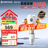 滨特尔（pentair）前置过滤器大通量家用全屋自来水管道40μm过滤器9吨/H大流量水驱涡轮+反冲洗刮洗净水器 【高性价比】6T/H大流量B140