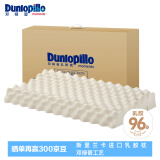 邓禄普（Dunlopillo）ECO颗粒按摩低波浪枕 斯里兰卡进口天然乳胶枕头