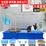 贝尼宠 兔子笼 兔子窝 兔笼子 不含兔子 宠物兔子小兔子 兔笼60#加粗加固6件套防喷尿4只