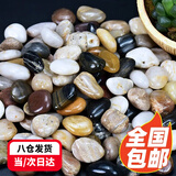 茨格曼鱼缸底砂 鱼缸造景石 雨花石 鹅卵石 夜光石溪流石 五彩石白石子 鱼缸造景-鹅卵石2kg
