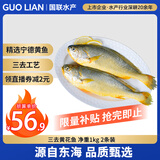 GUO LIAN国联 三去黄花鱼 2斤共2条国产东海大黄鱼 海鲜海产冷冻