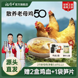 杨博士皖南土鸡走地鸡煲汤椰子鸡黄焖鸡盐焗鸡生鲜鸡肉食材50型老母鸡 【活动50型】2只老母鸡