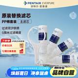 爱惠浦（Everpure） PP棉滤芯4支10吋/5微米加扳手 净水机通用滤芯