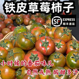 味小仙【顺丰】辽宁丹东草莓柿子 铁皮柿子绿腚油柿子西红柿番茄蔬菜 10斤